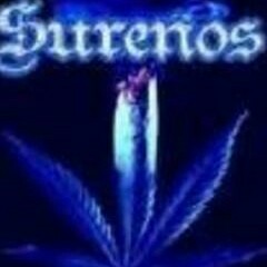 Callejeros y Bandidos- Ricky G ft. AMG (prod by amg) at Studio