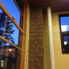 little things (sahada buckley)(may 2014)