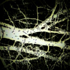 Smith & Ugly - Below (2010_Version)