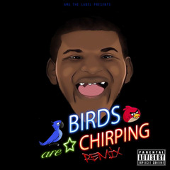 Birds Chirping RMX