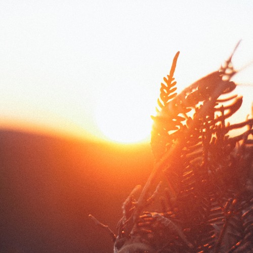 optcmd remix of Julien Marchal - Insight - I