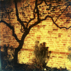 'Winter Orange' Metropolis master. From forthcoming album.