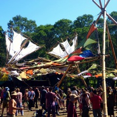 Harry Blotter @ Regrowth Festival 2015 - "Psychedelic Sunrise " Monday Morning Tree Top Stage