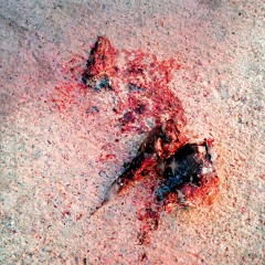 Fallen