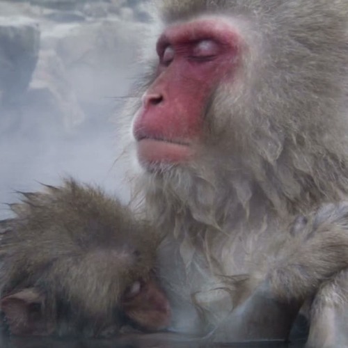 Kindness Generosity and an Open Heart