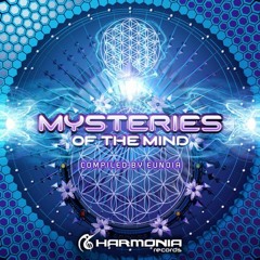 Drip Drop, Yann - No Name (Original Mix)