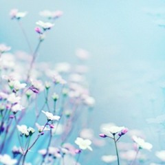 Nguyện Có Trái Tim Người
