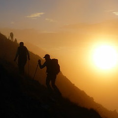 Still Alive - Score theme