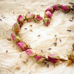 الشيخ عبد الله كامل ينشد الصخر أرق من الناس