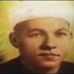 الشيخ منصور الشامي الدمنهوري