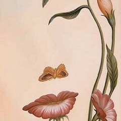 Keliru (Ruth Sahanaya)_Caca Fadhillah ft Dayat Hannah