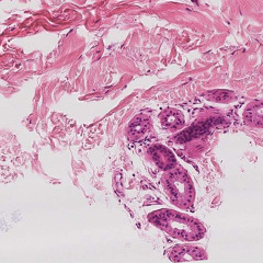 Saturday night's gonna be alright