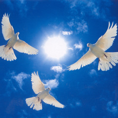 Promised Land(covet from Joe smooth)