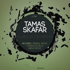 Tamas Skafar - A Walk In The Park (Nils A Remix CUT)