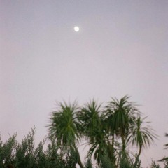SANS SOLEIL #1