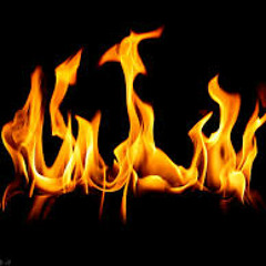 Avenged Sevenfold Shepherd Of Fire