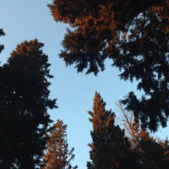 Shelter (Birdy/The xx cover)