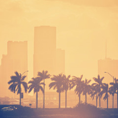 Sf Perkele - Washed Out