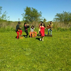 SonoMantis - Return To The Roots