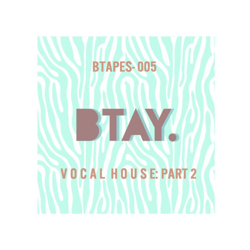 BTAPES - 005 Vocal House Part 2 - FOLLOW ME ON MIXCLOUD.COM/DJBTAY