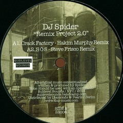 4 clips from DJ Spider Remix Project 2.0 (12" Vinyl)