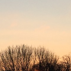 Spring Dream