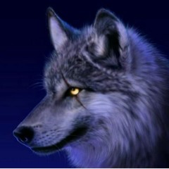 N8T Beatz prod.(Rap Instrumental )dark epic chor Beat