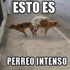 Perreo Sexy - DJ DIO San Luis