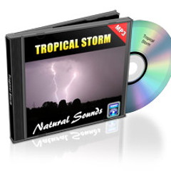 Umbrella bundle #1:04 Tropical Storm