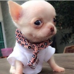 Wiggle DjMarCei5 TechHouse