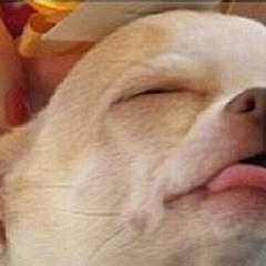 Sowing season ( Brand New cover) - Jess Day