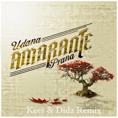 Don't Look Back (Keez & Didz Remix) - Amarante (: