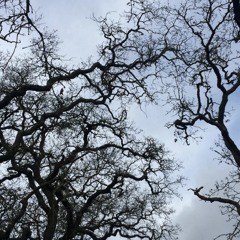 lil tokyo (disposable) - gnash cover