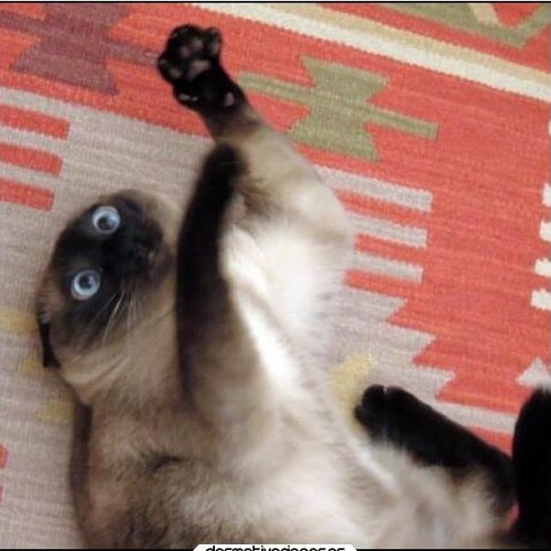 +Undead Enemy 【Mashup?】(Stahp plz)