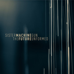 Sister Machine Gun - Insect