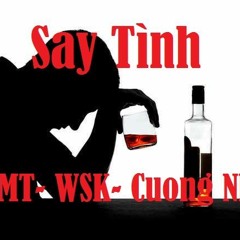 Say Tình  - NMT ft Cương ND, W.S.K