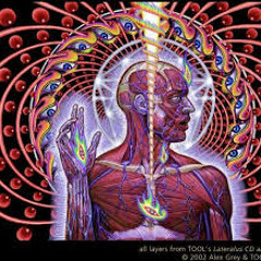 Soy Un Pobre Mantenido