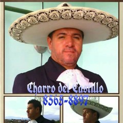 De cascos ligeros new arrivals