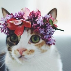 cheer up buttercup