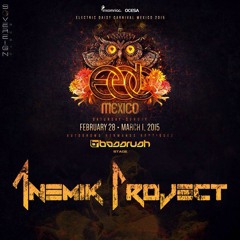 Anemik Project @ EDCMEX 2015 Circuit Grounds