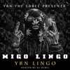 10 Mango Foo Feat Rich The Kid All Dis Money Mp3