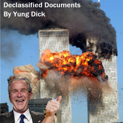 Declassified Documents