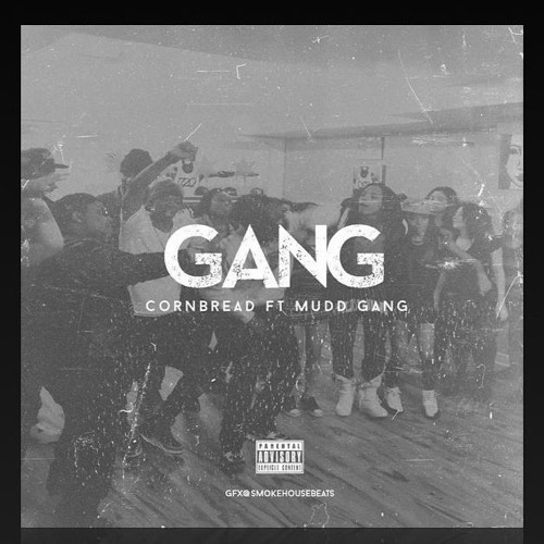 CORNBEARD X MUDGANG -GANG (PROD.MUDD GANG)