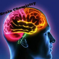 iDi-OD - Brain Chemistry