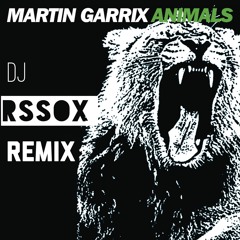 MARTIN GARRIX- ANIMALS (DJ RSSOX REMIX)