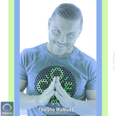 Armin 2afm - Tebghe Mamool