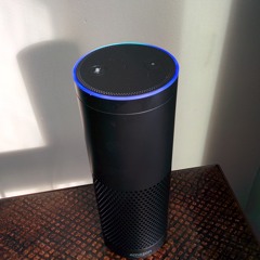 Talking to Alexa