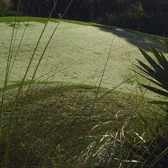 Dew
