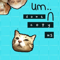 dont copy us