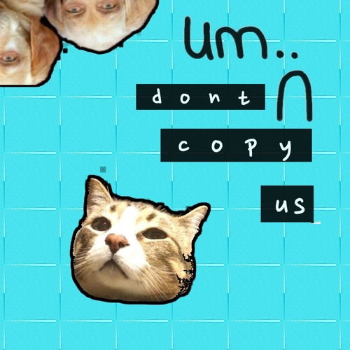 dont copy us